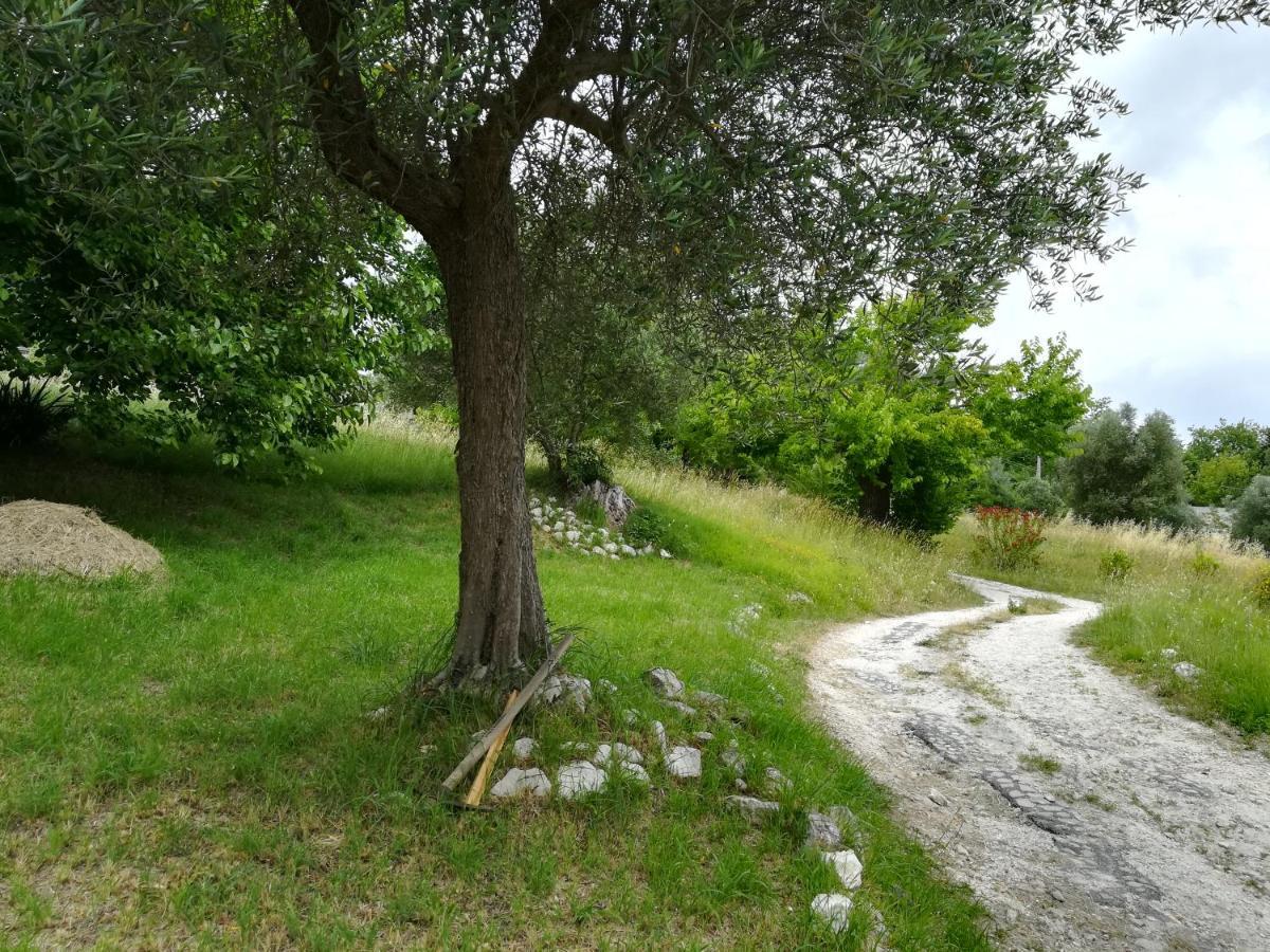 Agriturismo Campo Aperto Belvedere Ostrense Extérieur photo
