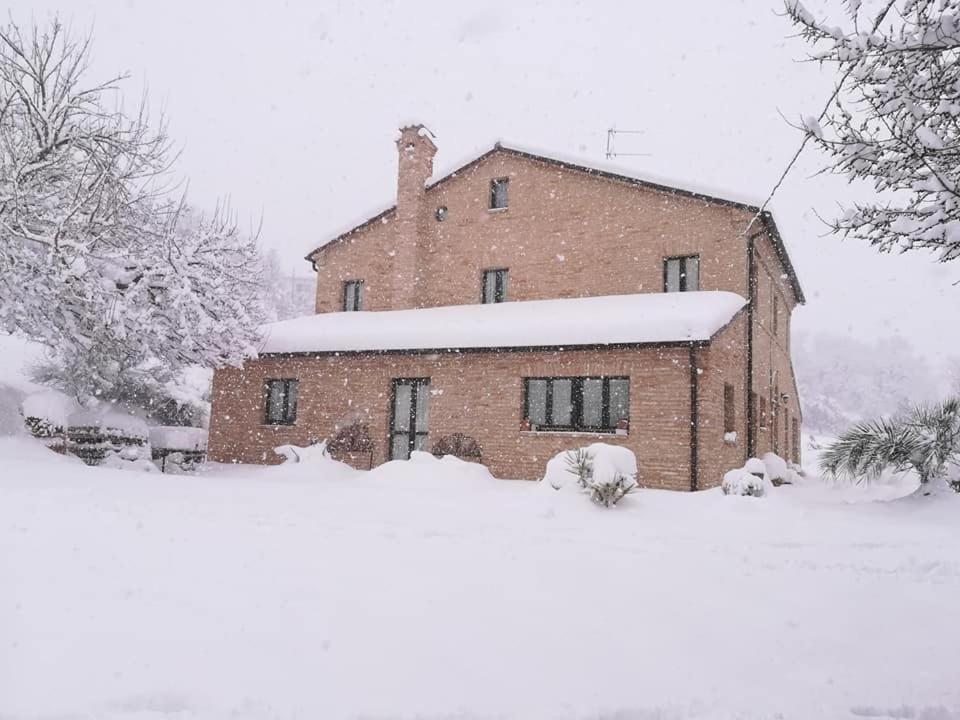 Agriturismo Campo Aperto Belvedere Ostrense Extérieur photo