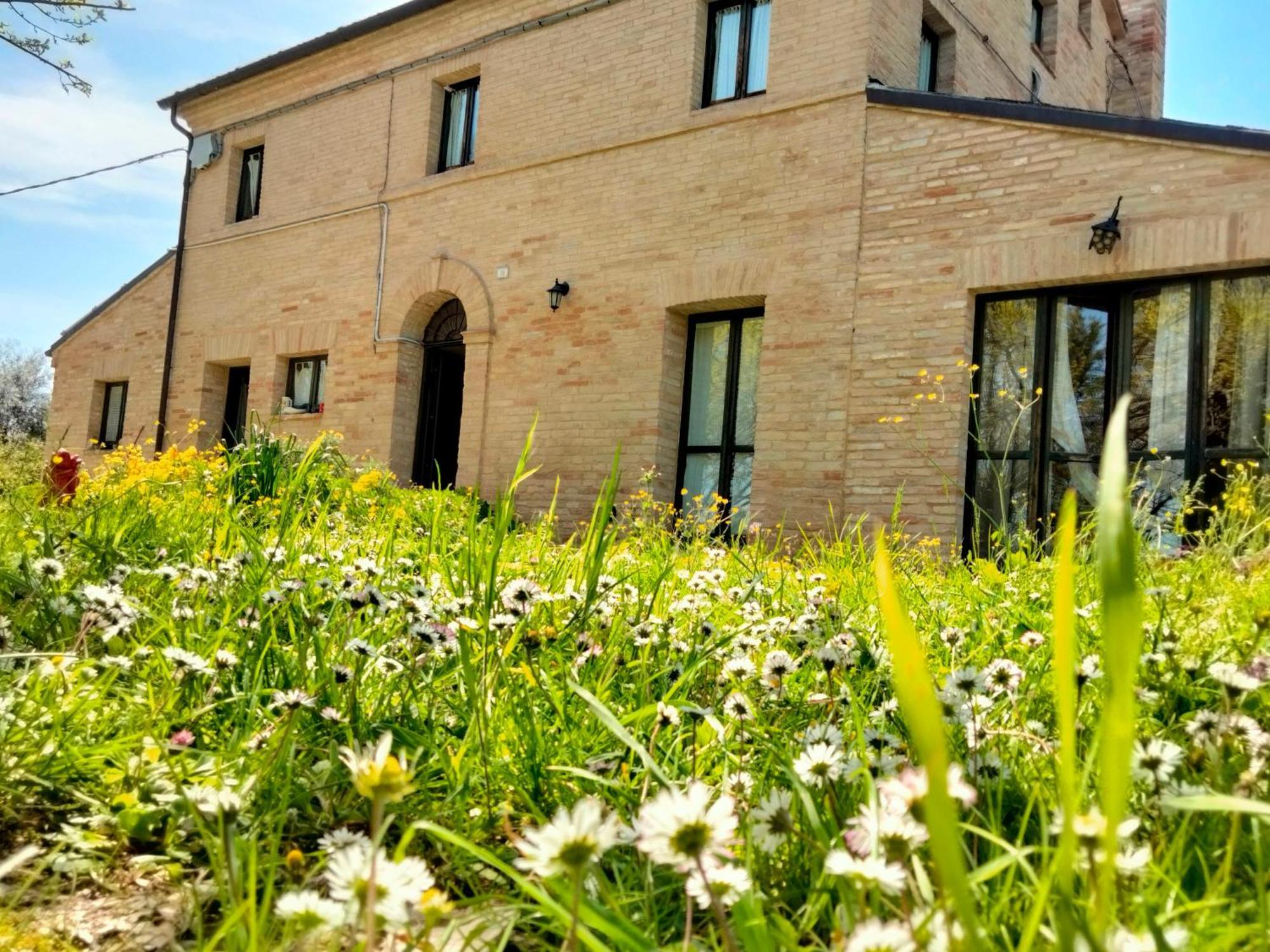 Agriturismo Campo Aperto Belvedere Ostrense Extérieur photo